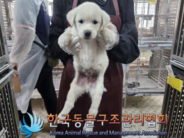 종료(안락사) 믹스…